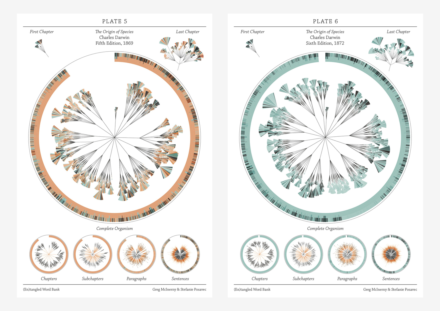 There is grandeur in this view of life – visualising Darwin