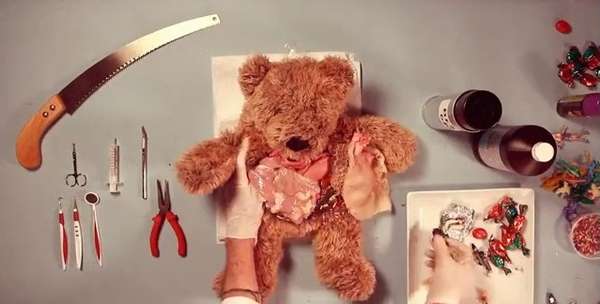 Anatomy Lessons: Teddy