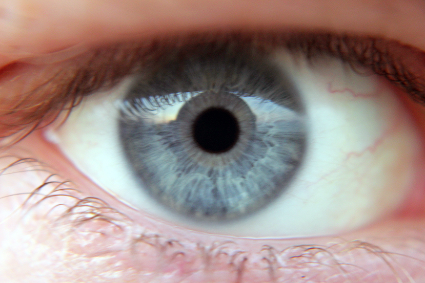 Are Smart Contact Lenses Here to Efface Privacy?